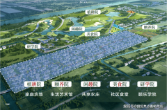 亩属于本人的田园