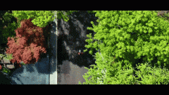 取消费者签定商品详尽买卖合